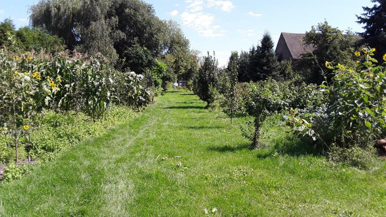 Gaestezimmer Sommer Locktow Exteriér fotografie